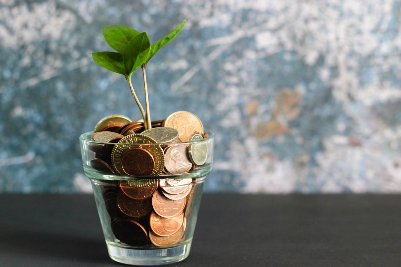 A young plant growing from a glass jar full of coins, representing steady financial growth